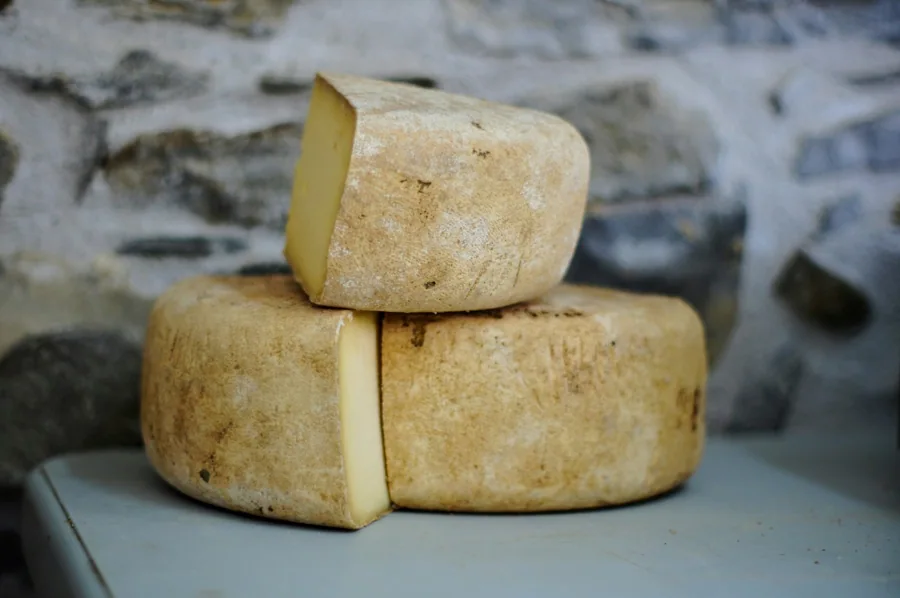 Dos piezas de queso curado sobre una superficie de piedra