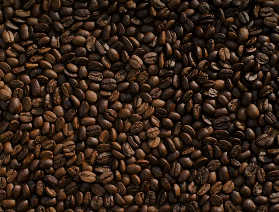 Granos de café tostado