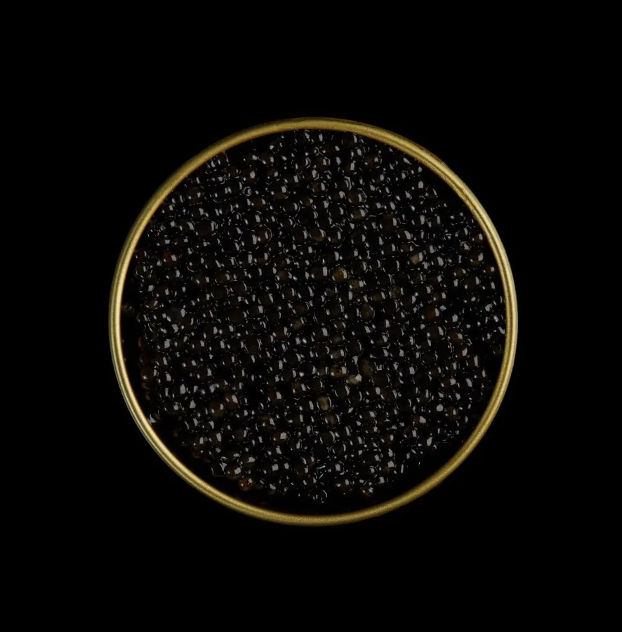 TSARINE Caviar Siberiano Acipenser baerii 500 g