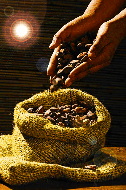cacao gourmet detalle chocolate